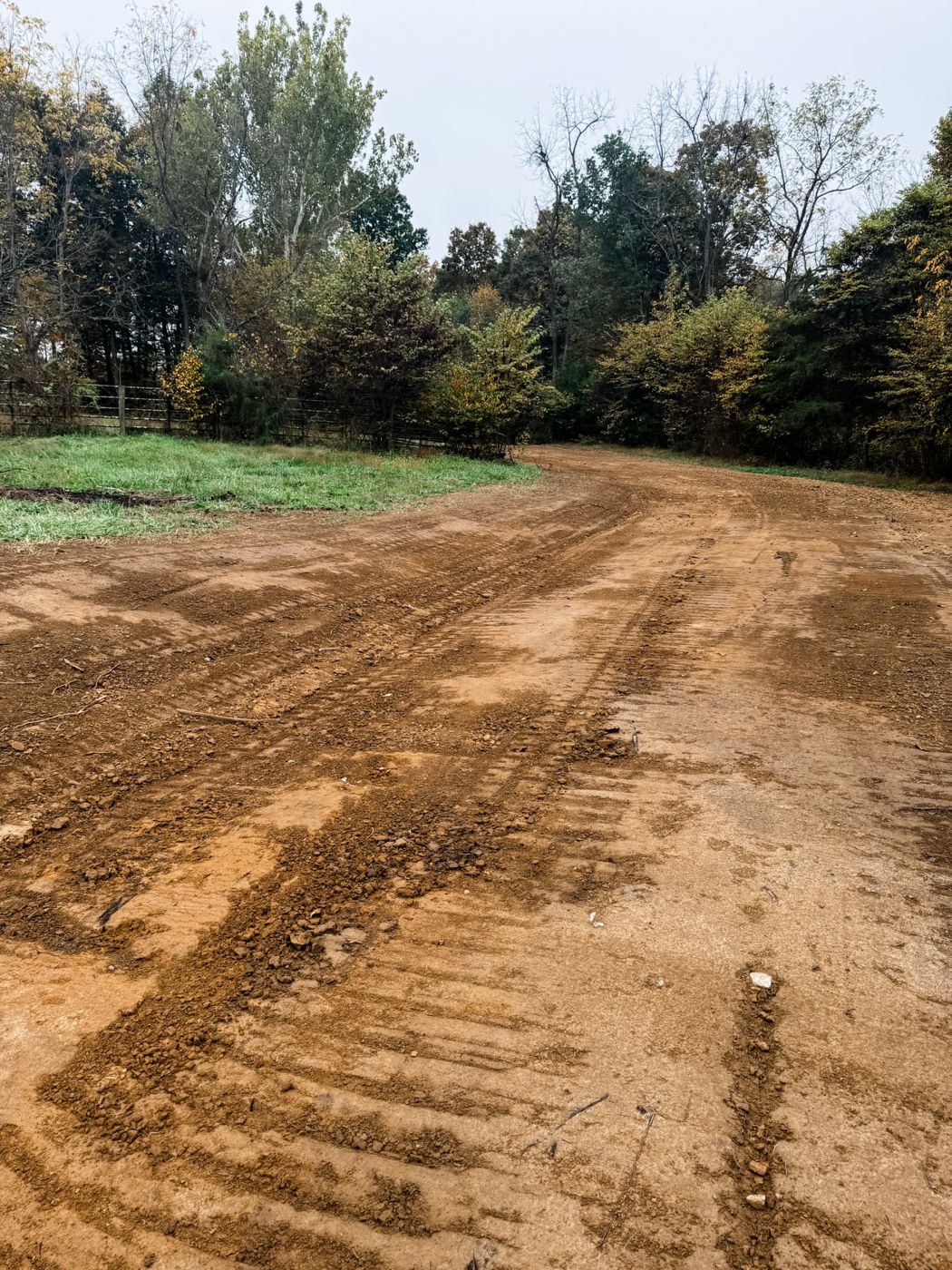 A newly graded dirt driveway curving into the trees, with smooth dozer tracks
